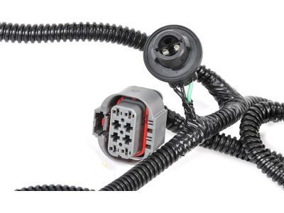 GM 22869171 Socket & Wire