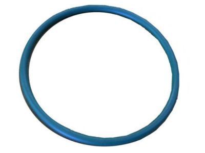 GM 21008100 Fuel Pump Assembly Seal