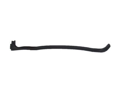 GM 20998459 Rear Weatherstrip