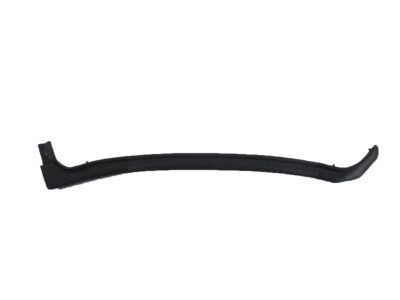 GM 20998459 Rear Weatherstrip