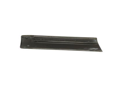 GM 15176396 Body Side Molding