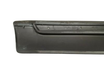 GM 15176396 Body Side Molding