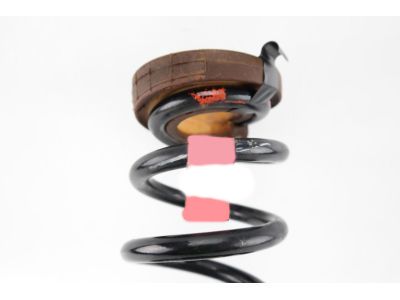 GM 23498309 Coil Spring