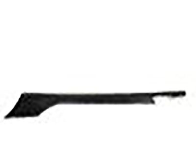 GM 23399025 Rocker Molding