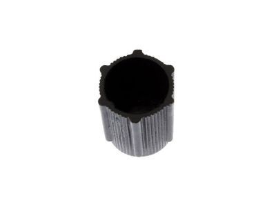 GM 52471377 AC Tube Cap