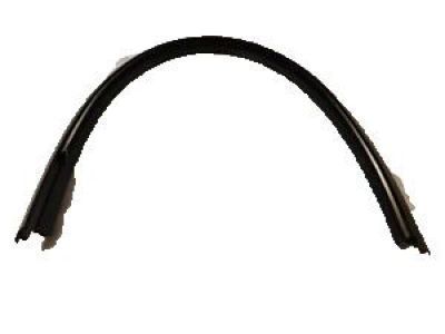 GM 20791101 Belt Weatherstrip