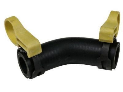 GM 21997868 Reservoir Hose