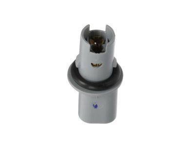 GM 25794790 Socket