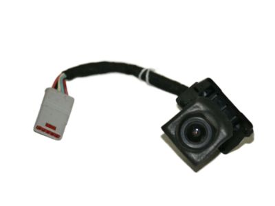 GM 23137305 Camera