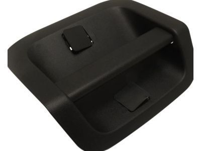 GM 22858924 Handle, Inside