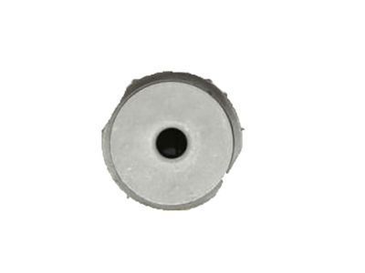 GM 20914914 Carrier Housing Bushing