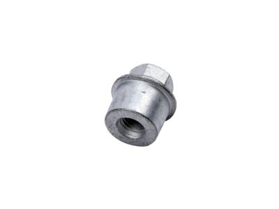 GM 11612170 Nut