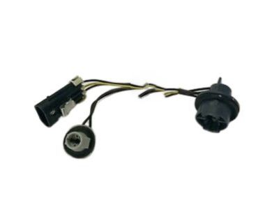 GM 16531674 Socket & Wire