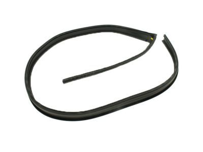 GM 20816087 Drip Weatherstrip