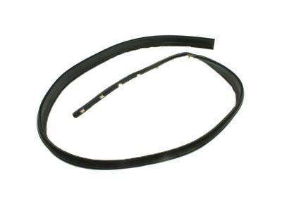 GM 20816087 Drip Weatherstrip