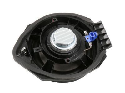GM 15905042 Front Door Speaker