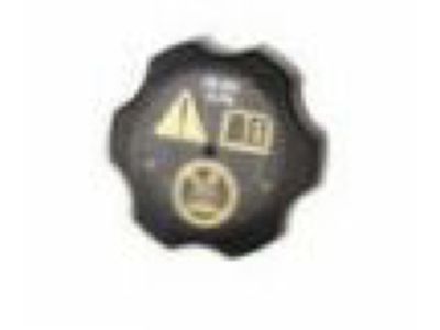 GM 20898801 Reservoir Cap