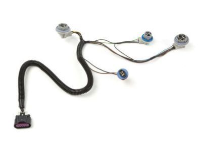 GM 22787445 Socket & Wire