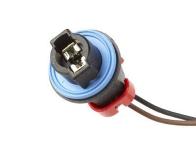 GM 22787445 Socket & Wire