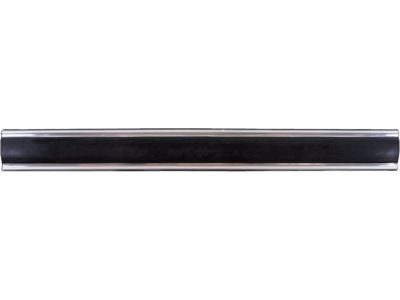GM 15596935 Molding, Body Side Lower