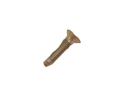 GM 11589019 Lower Striker Screw