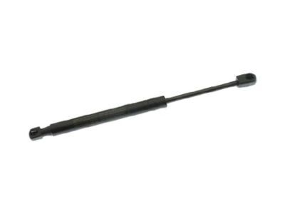 GM 15853888 Strut