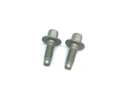 GM 11610041 Upper Hinge Bolt