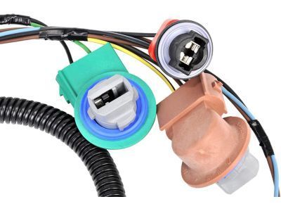 GM 25975983 Socket & Wire