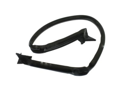 GM 84007386 Weatherstrip