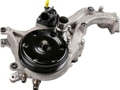 GM 12685731 Water Pump Assembly