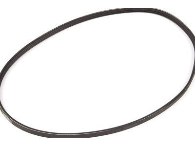 GM 55569329 Water Pump Belt