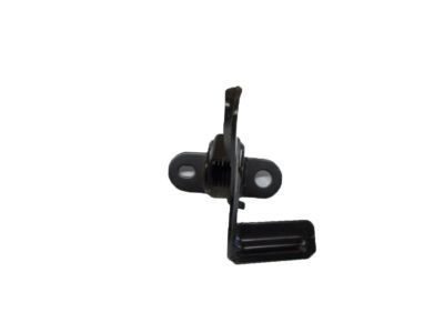 GM 10130484 Latch-Hood Secondary