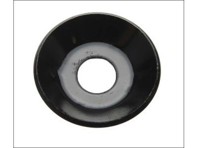 GM 22171645 Mount Washer