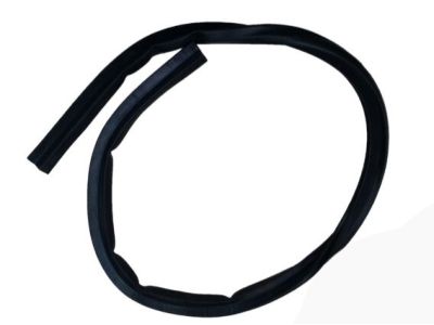 GM 96991919 Rear Weatherstrip