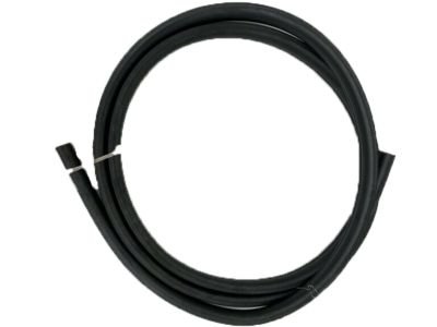 GM 15907504 Weatherstrip Asm, Lift Gate