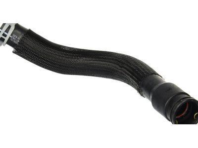 GM 15135283 Lower Hose