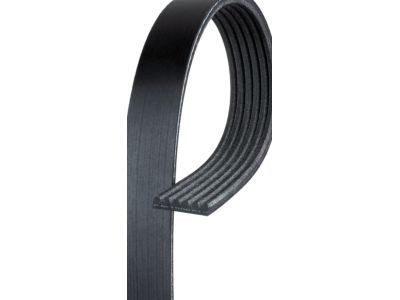 GM 19244950 Drive Belt