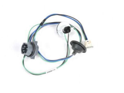 GM 10395344 Socket & Wire