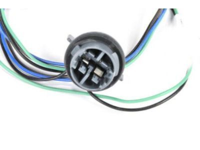 GM 10395344 Socket & Wire