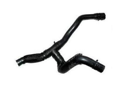 GM 95039027 Hose Assembly