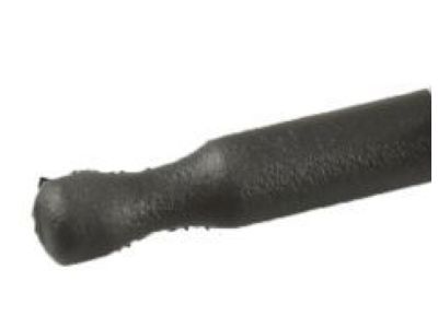 GM 10338078 Lock Knob