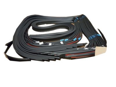 GM 20789464 Drip Weatherstrip