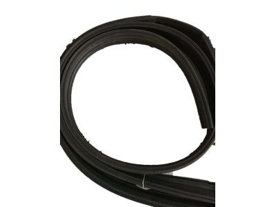 GM 20789464 Drip Weatherstrip