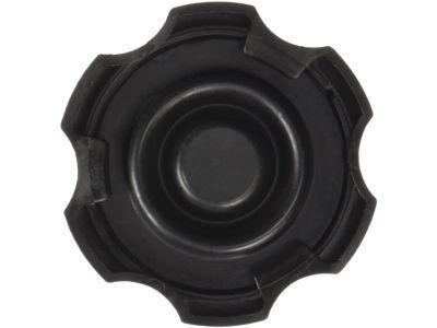 GM 22795538 Reservoir Cap