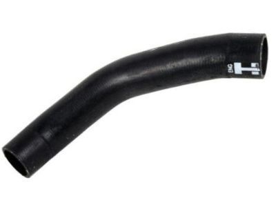 GM 84134893 Upper Hose