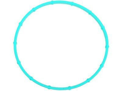 GM 12580520 Magnet Seal