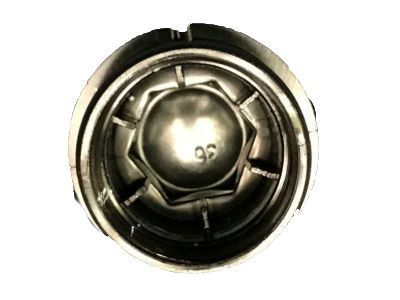 GM 9598895 Wheel Nut Cap