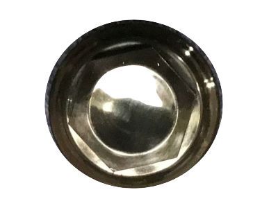 GM 9598895 Wheel Nut Cap