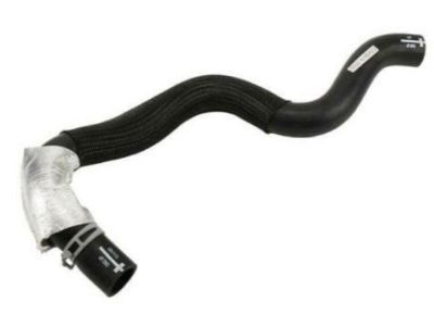 GM 15751101 Upper Hose