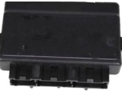 GM 19116418 Module